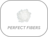 Perfect fibers