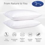 3 Chembar Pillow